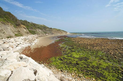 Stunning Isle of Wight beaches