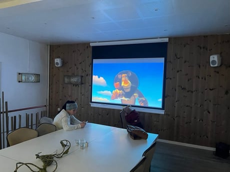 Projector and screen for late movie nights!